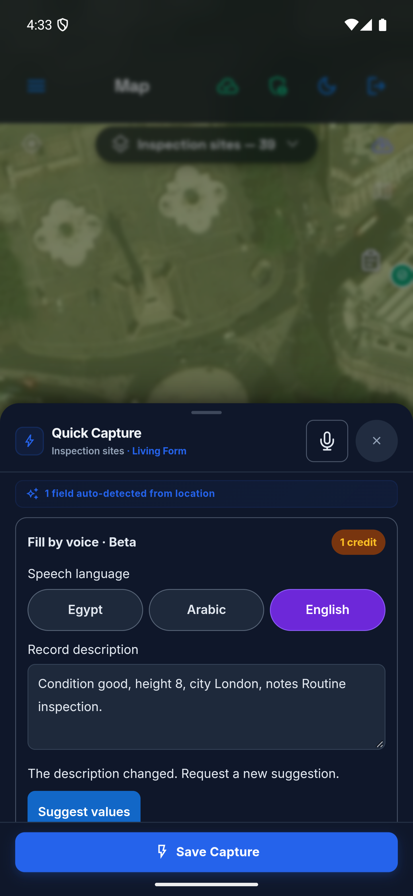 Voice-entry language choices Egypt, Arabic and English, with English selected and a typed description.